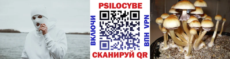 гидра ссылки  Ессентукская  Псилоцибиновые грибы мицелий  что такое  